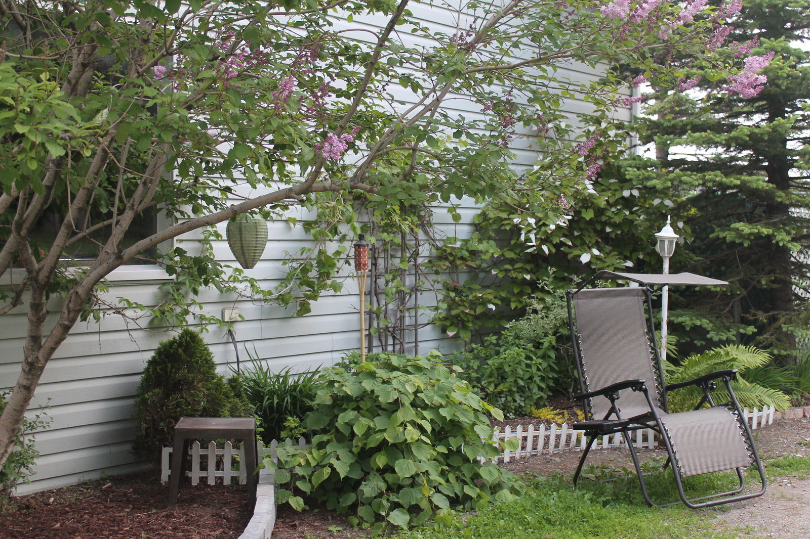 Homestay Matane 36540