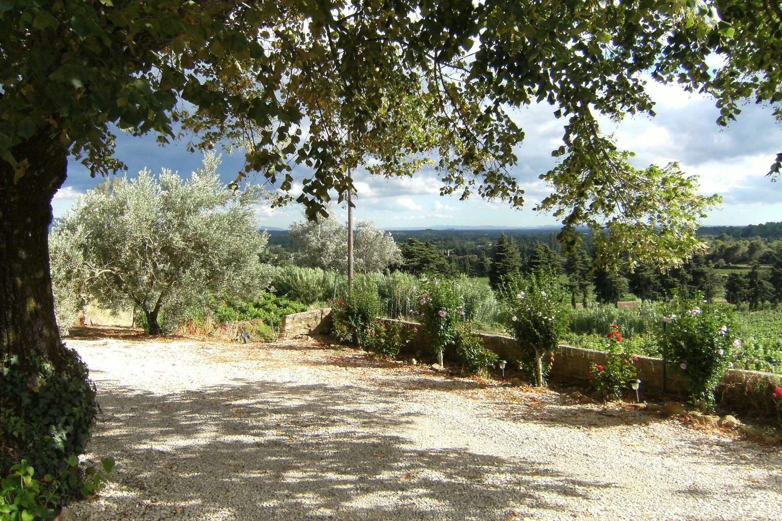 Bed And Breakfast Beaumes de Venise 88155