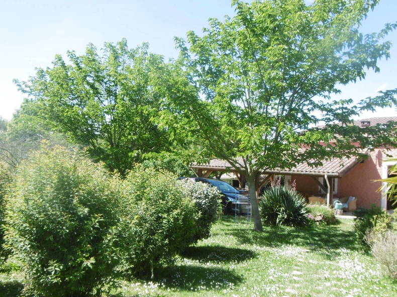 Chambre Chez L'habitant Castaignos-Souslens 167643-1
