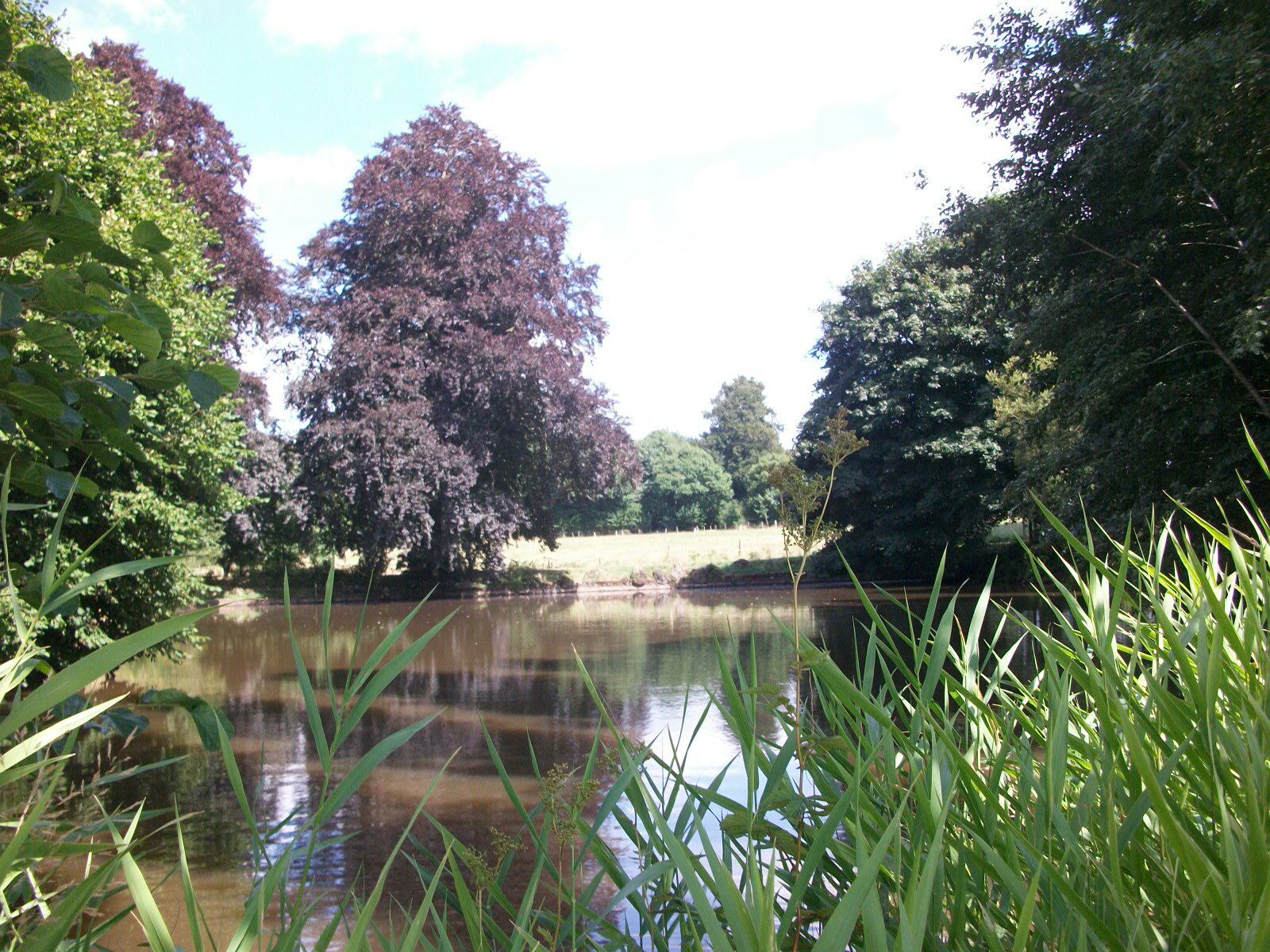 Bed And Breakfast Saint-Bômer-les-Forges 94747