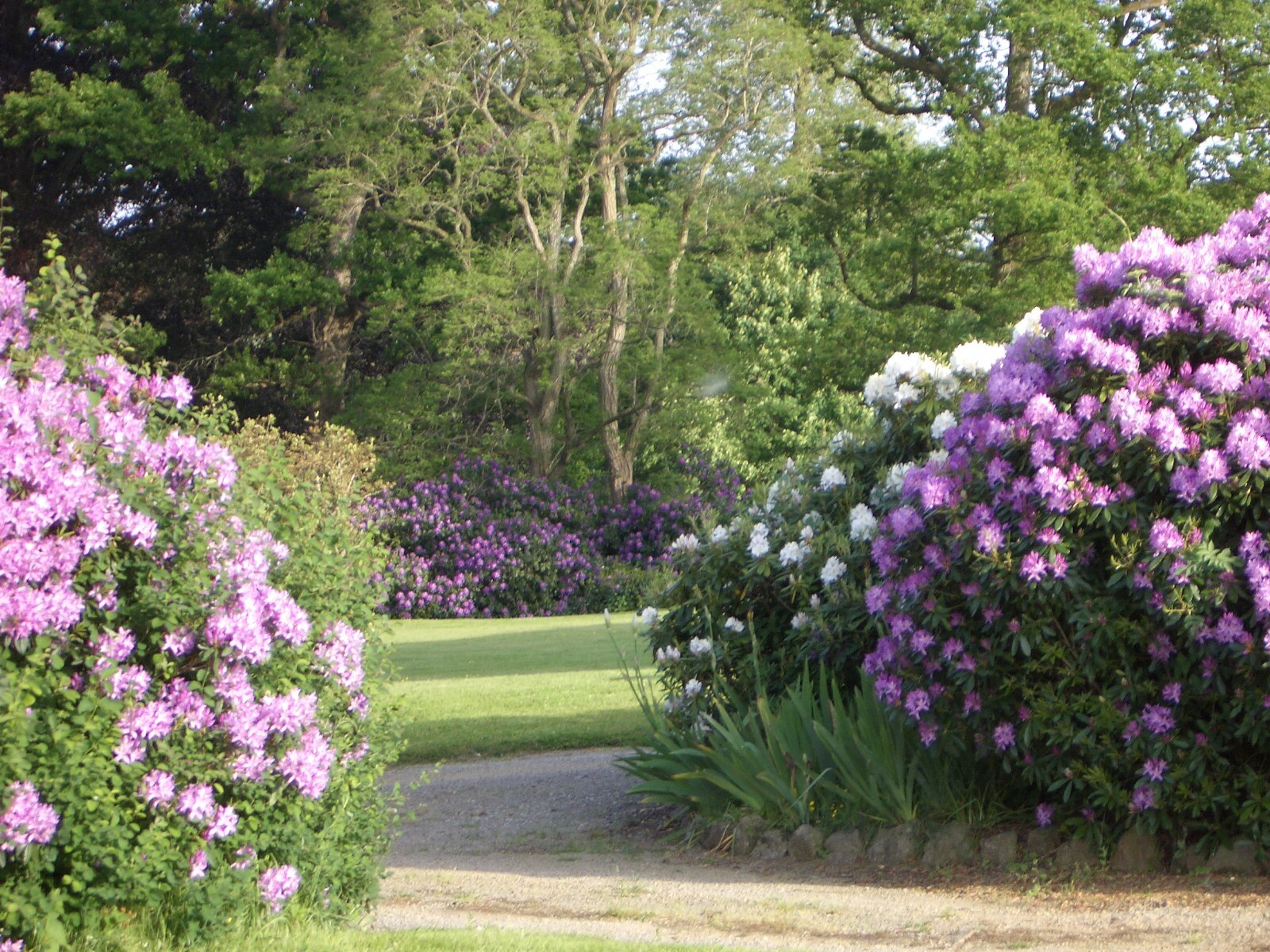 Bed And Breakfast Saint-Bômer-les-Forges 94747