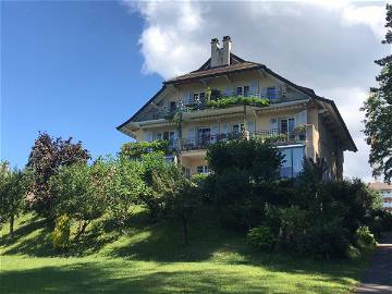 Room For Rent Lausanne 257456-1