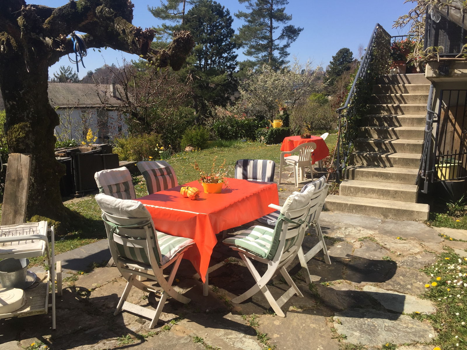 Homestay Lausanne 257456