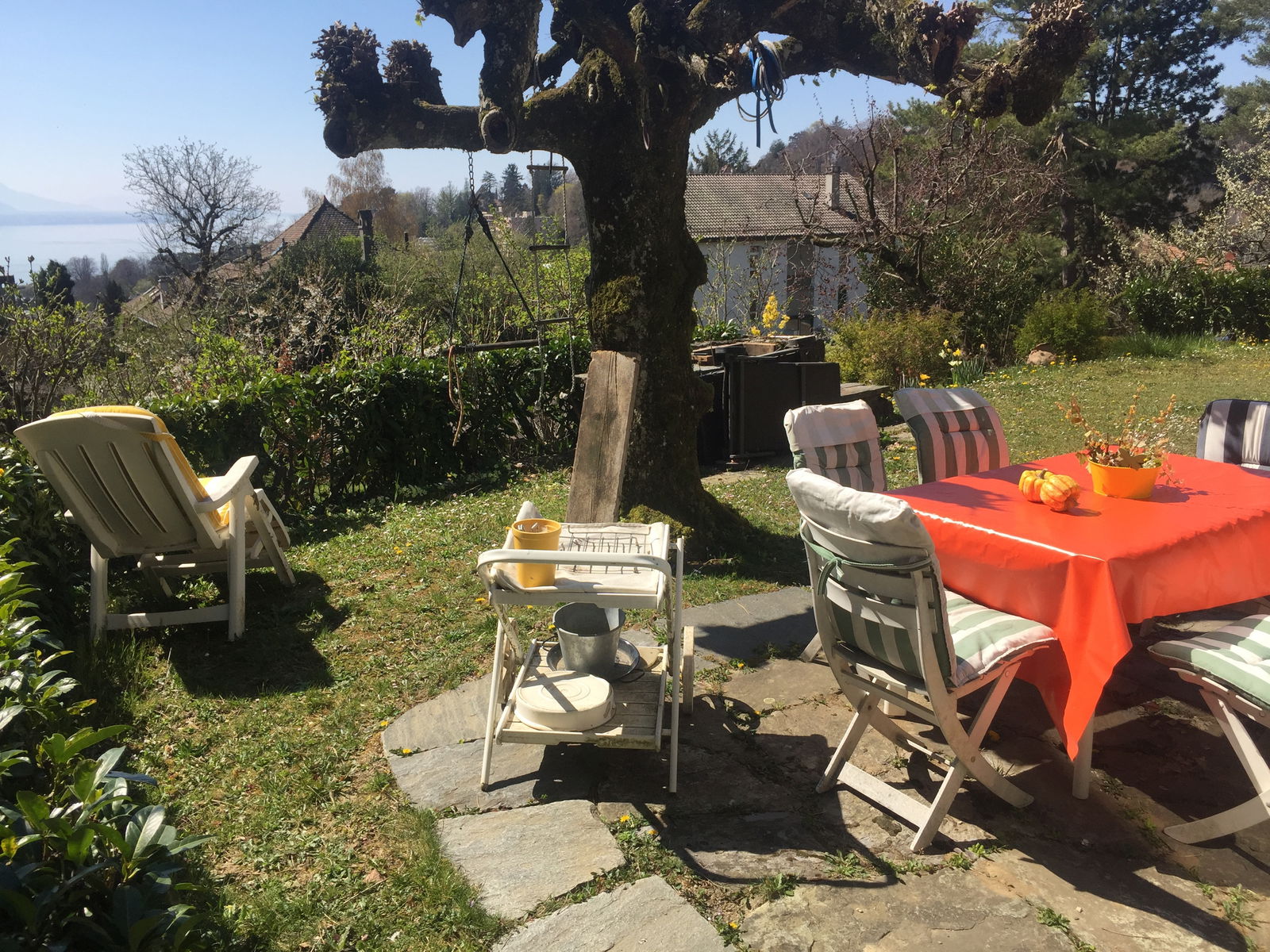 Homestay Lausanne 266941