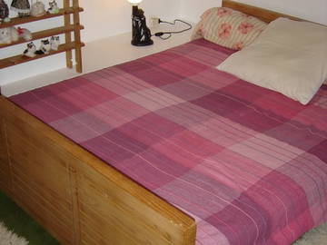 Chambre Chez L'habitant Meylan 24293-4