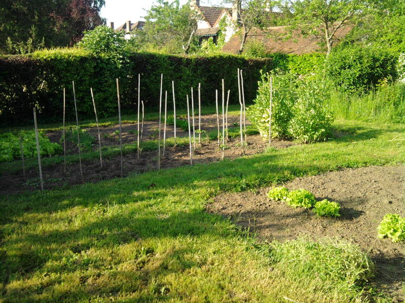 Homestay Civry-la-Forêt 90091-4