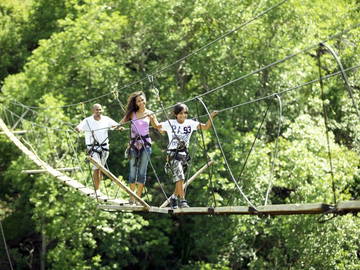 Logement Entier Bambous 1427-9