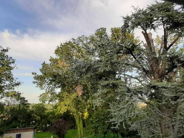 Shared Accommodation Montry 251474-5