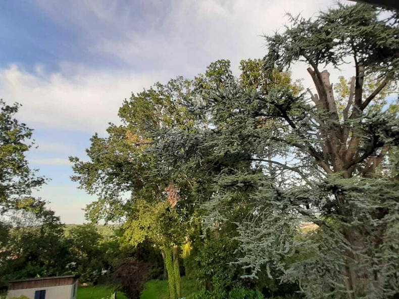 Colocation Montry 251474-5