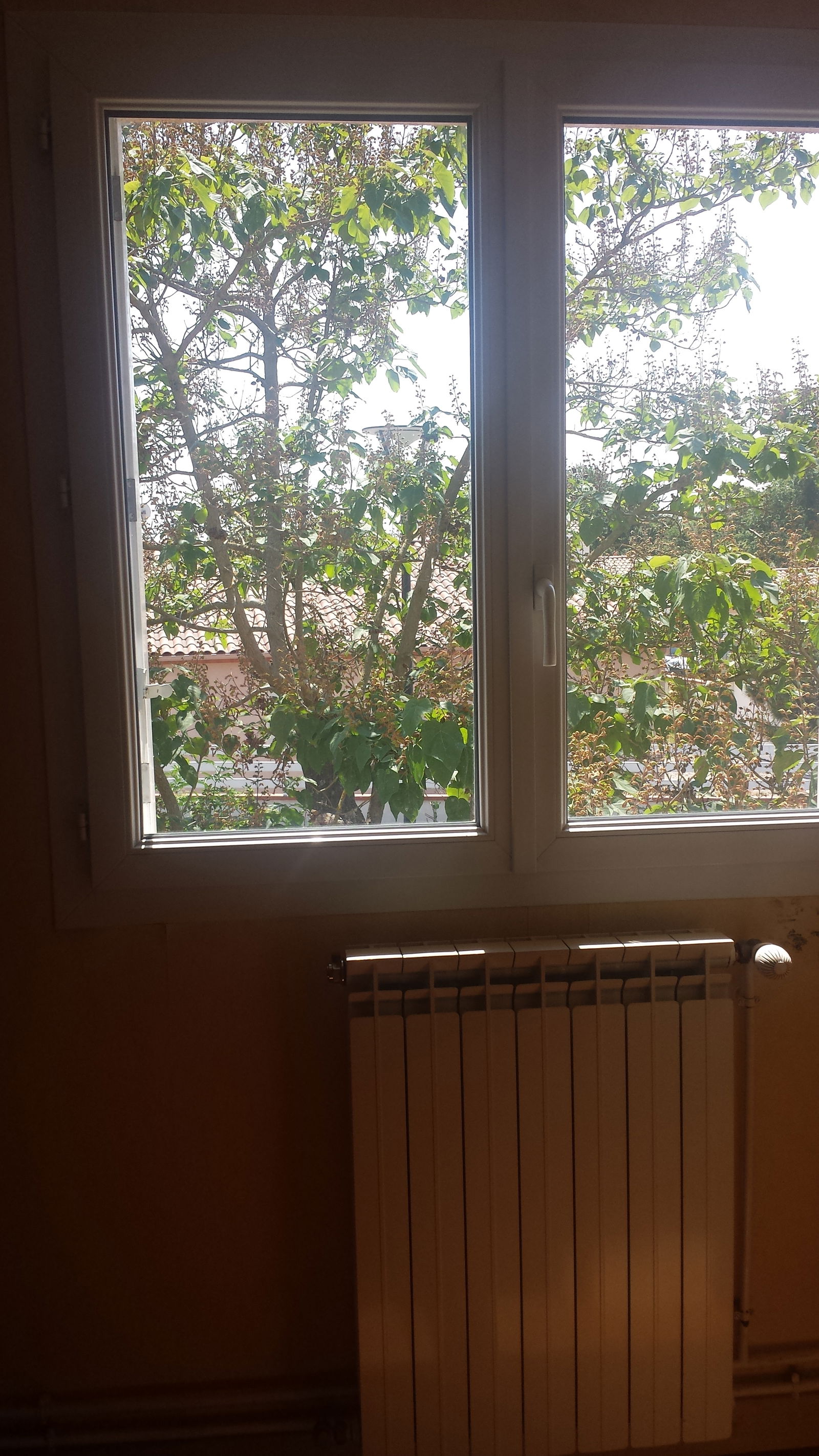 Homestay Toulouse 105305