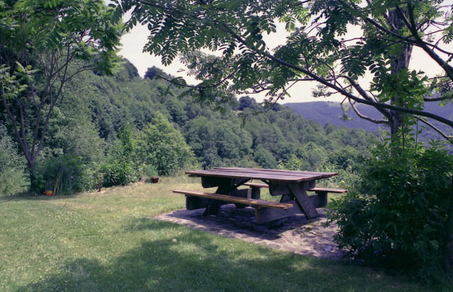 Colocation Le Bosc 59666