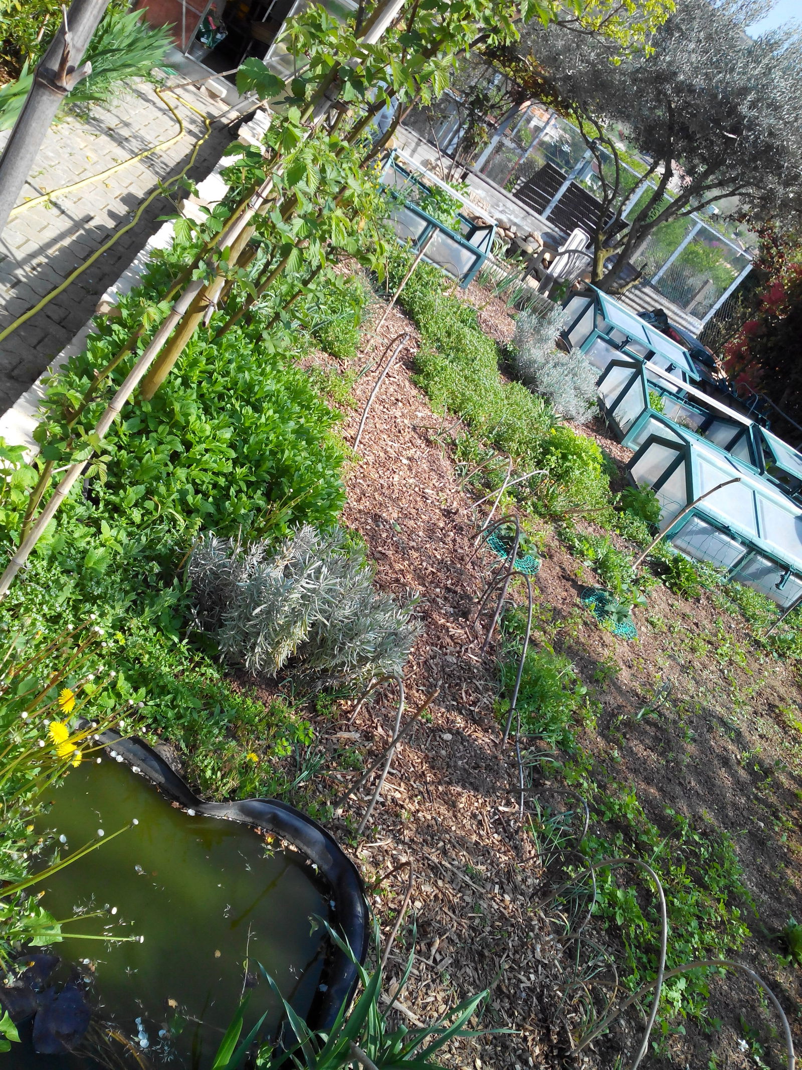 Homestay Villeneuve-de-Berg 215052