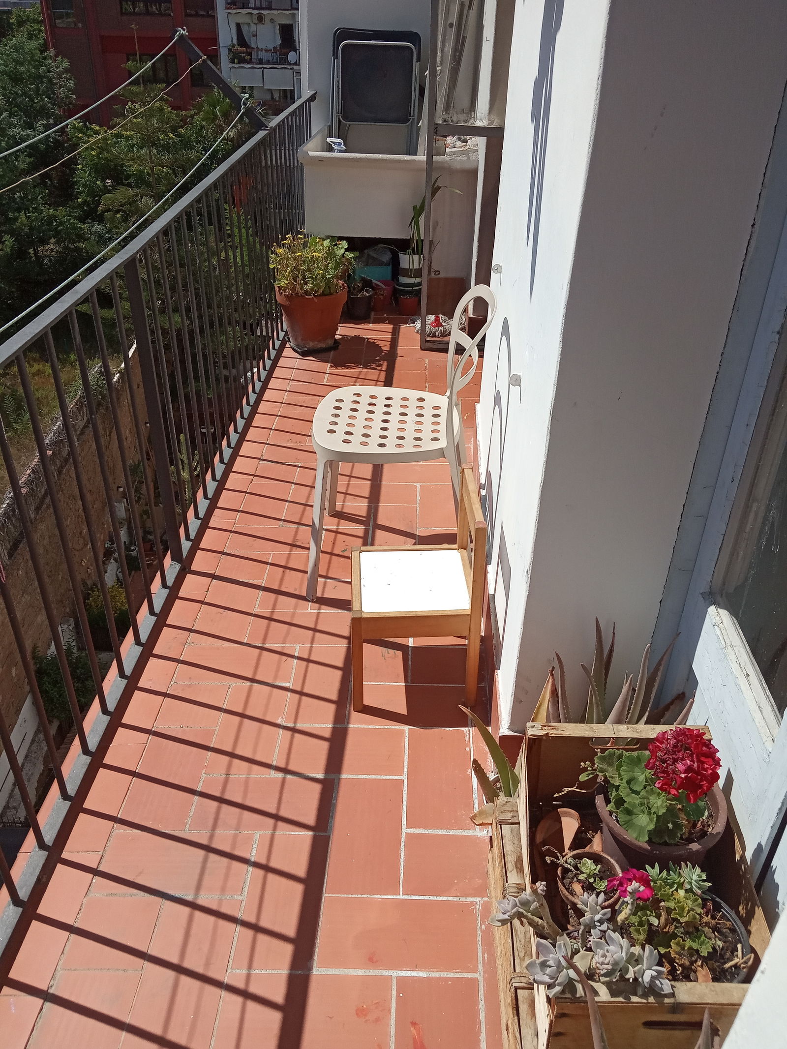 Homestay Barcelona 226185