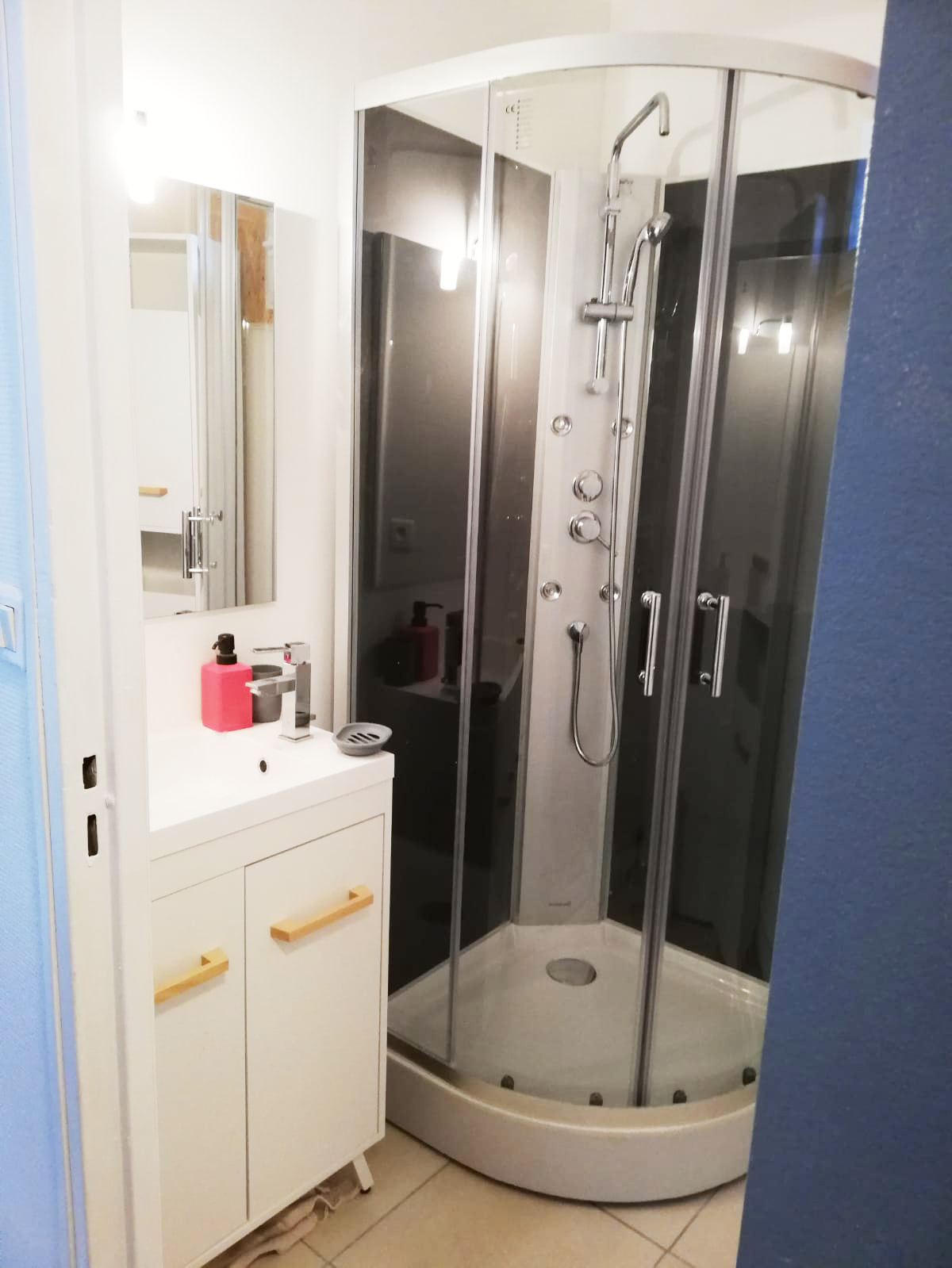 Colocation Bordeaux 246736