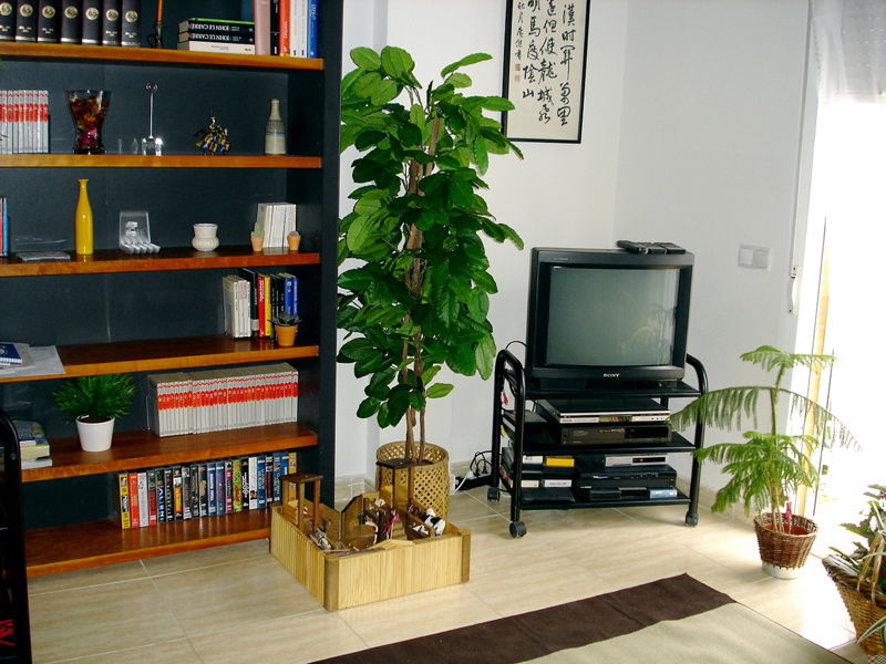 Homestay Boadilla del Monte 221282