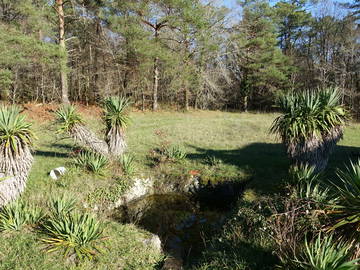 Homestay La Gonterie-Boulouneix 238920-11