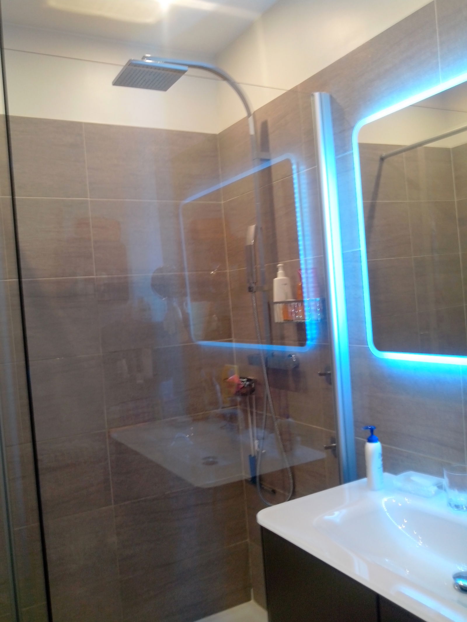 Homestay Caluire-et-Cuire 124726