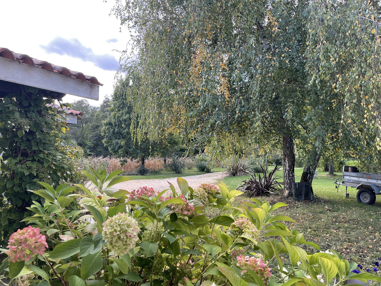 Homestay Monbahus 30249