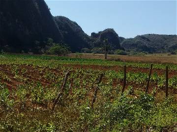 Habitación En Alquiler Viñales 205674-1