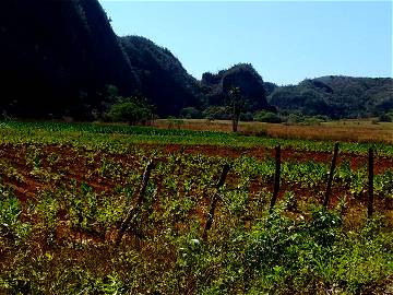 Roomlala | Rooms For Rent In Viñales