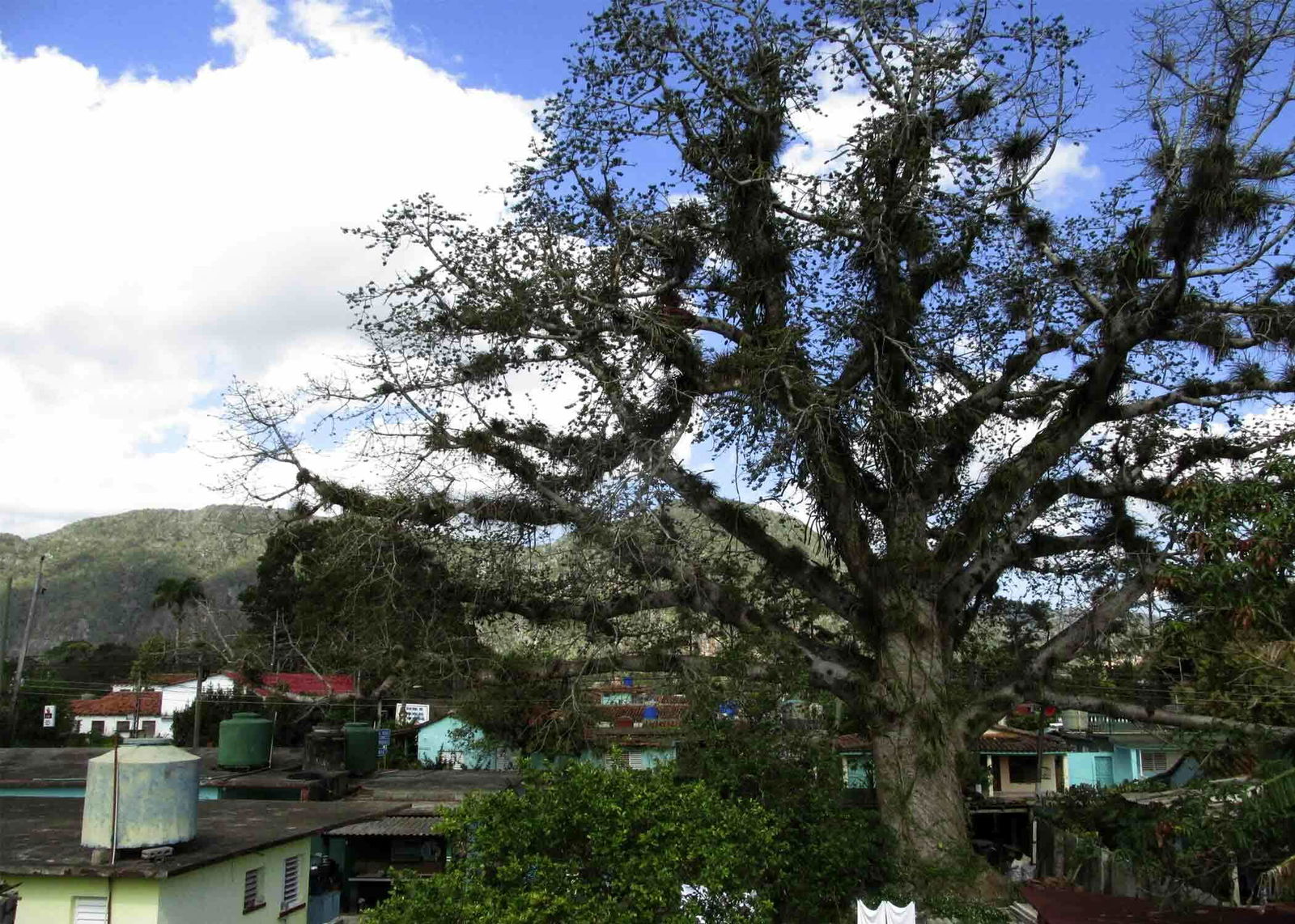 Homestay Viñales 224402