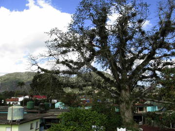 Chambre Chez L'habitant Viñales 224402-12