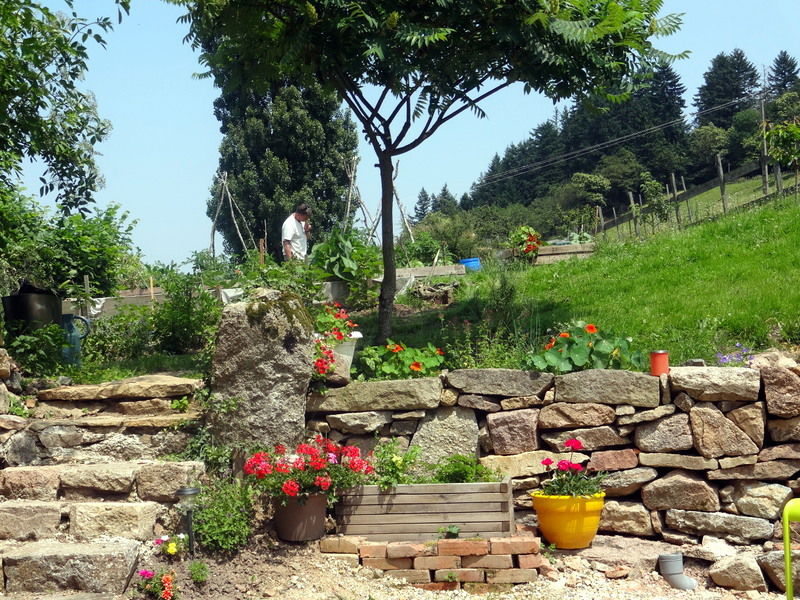 Bed And Breakfast Matour 98953