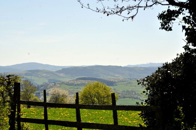 Bed And Breakfast Matour 98953