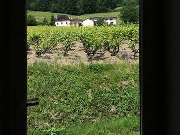 Chambre D'hôte Quincié-En-Beaujolais 57546-10