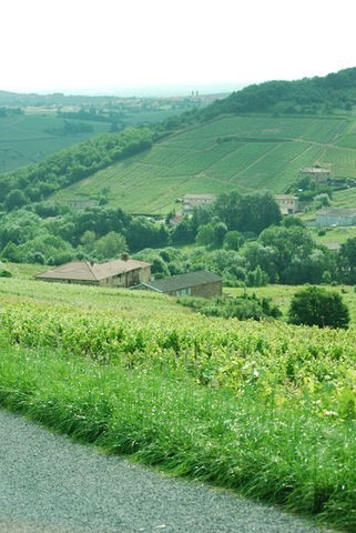 Bed And Breakfast Quincié-en-Beaujolais 57546