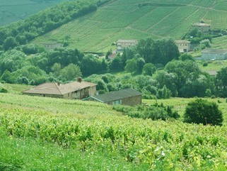 Chambre D'hôte Quincié-En-Beaujolais 57546-11