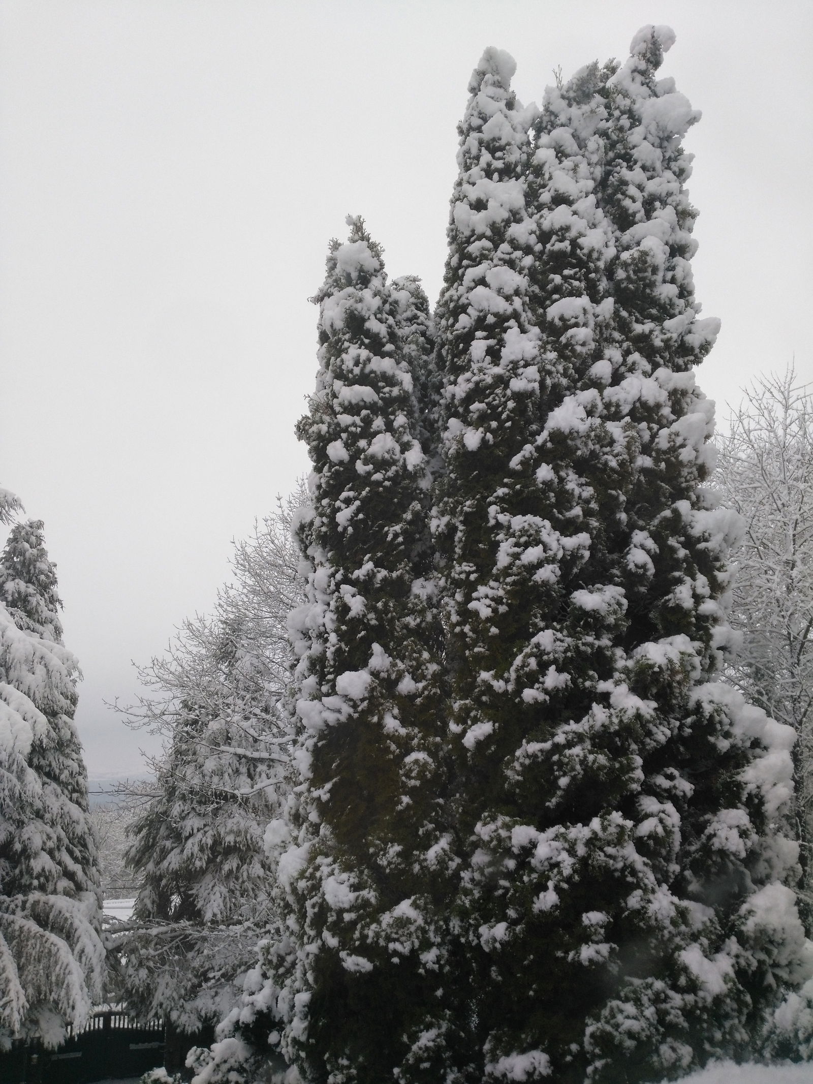 Homestay Le Coudray-Saint-Germer 211608