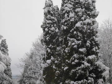 Chambre Chez L'habitant Le Coudray-Saint-Germer 211608-10
