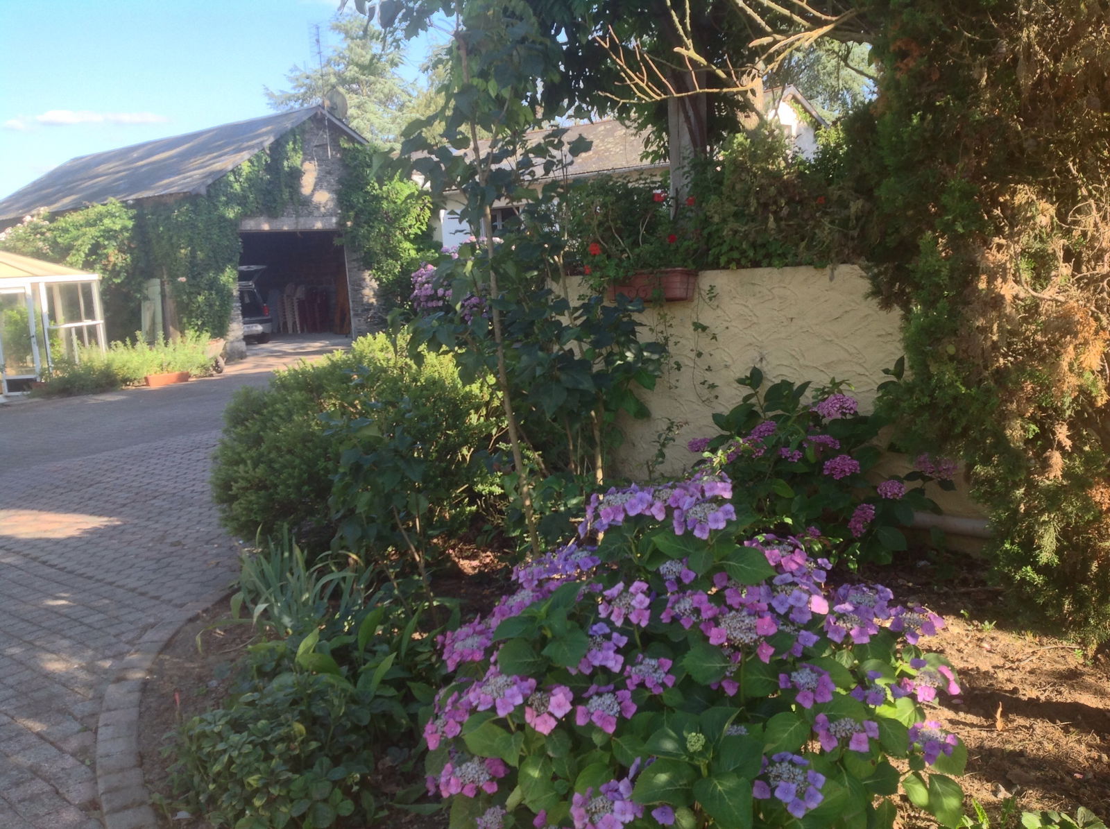 Bed And Breakfast Saint-André-Goule-d'Oie 102681