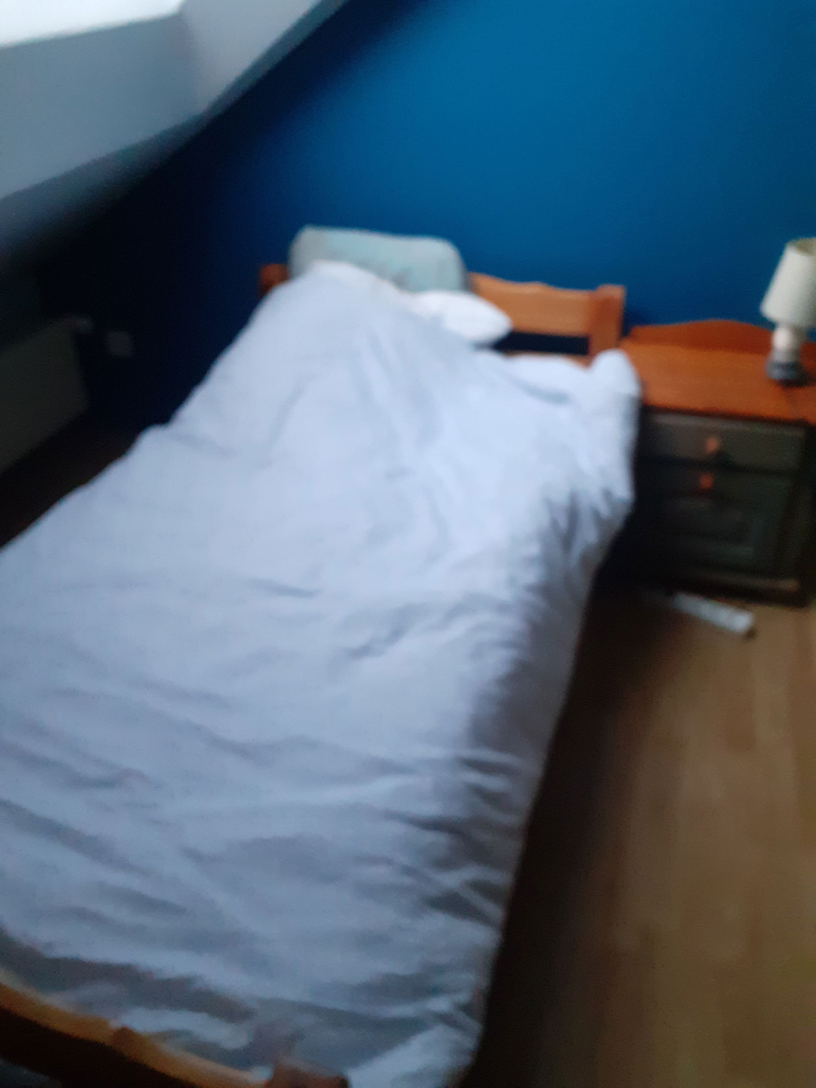 Homestay Sainte-Marie-des-Champs 100288