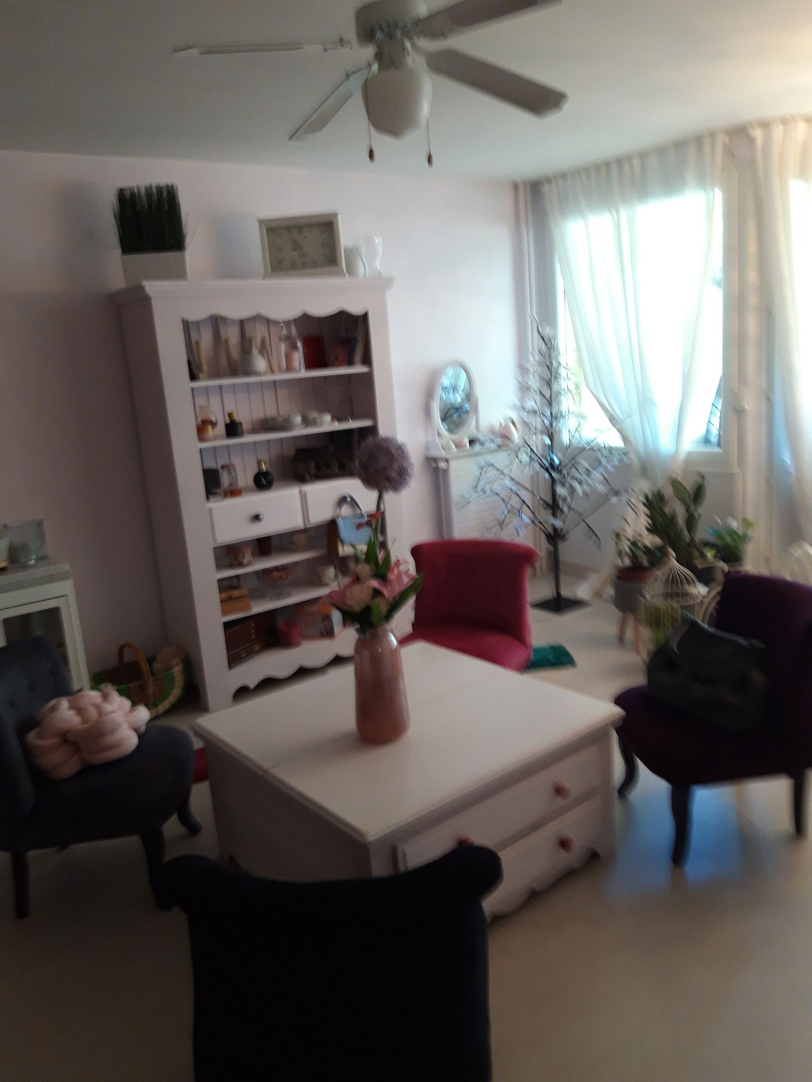 Homestay Vaulx-en-Velin 10872