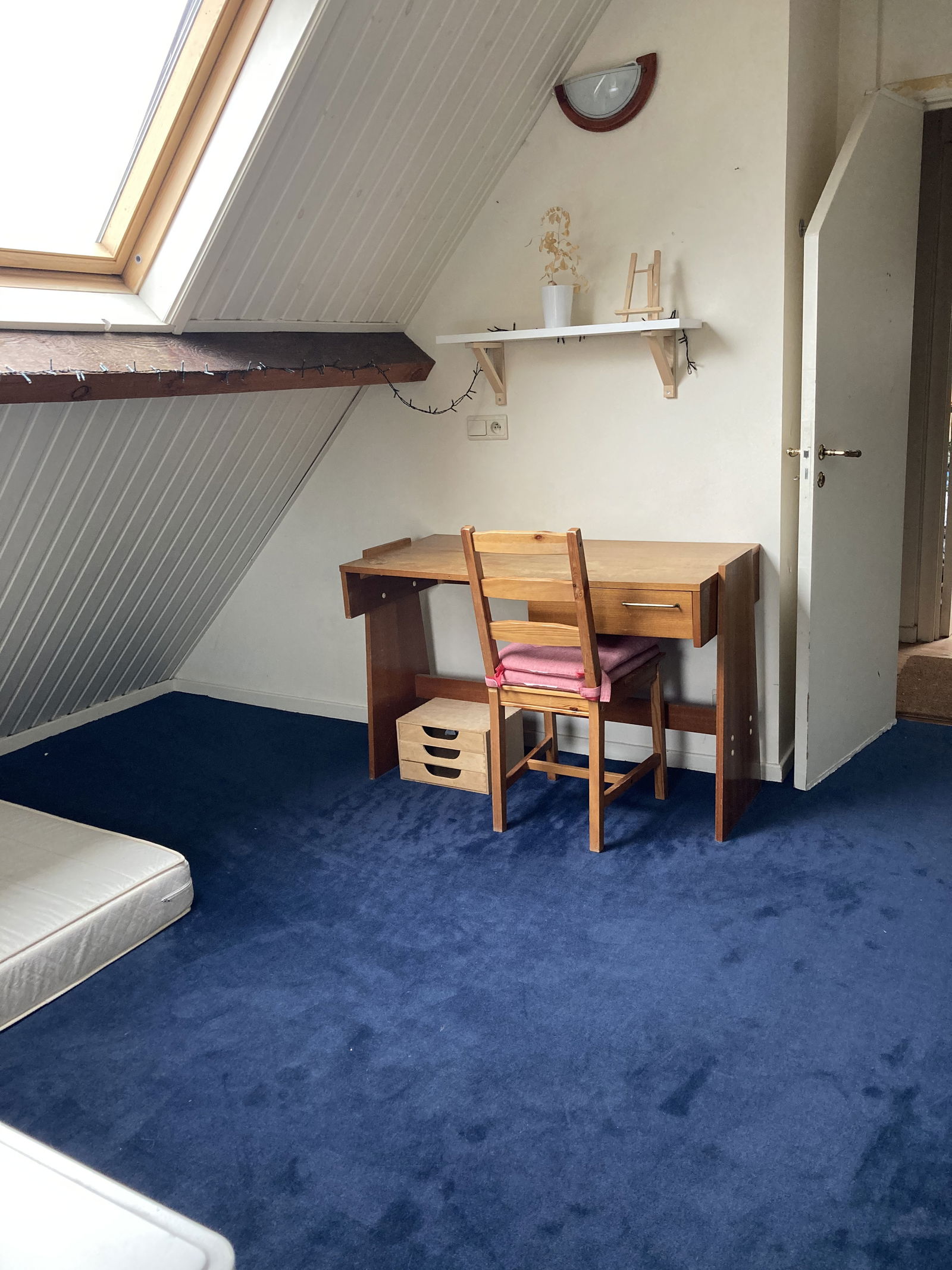 Homestay Waterloo 124012