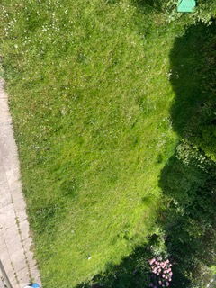 Homestay Waterloo 124012