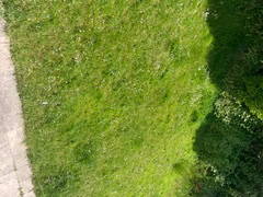 Chambre Chez L'habitant Waterloo 124012-6