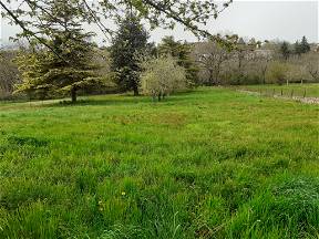 Chambres dans coloc de quarantenaires avec parc et jardins