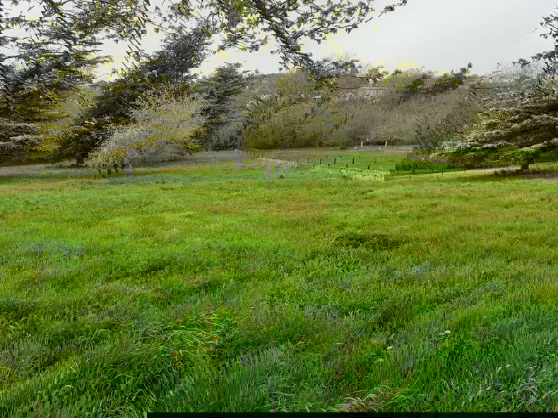 Homestay Carmaux 339049-1