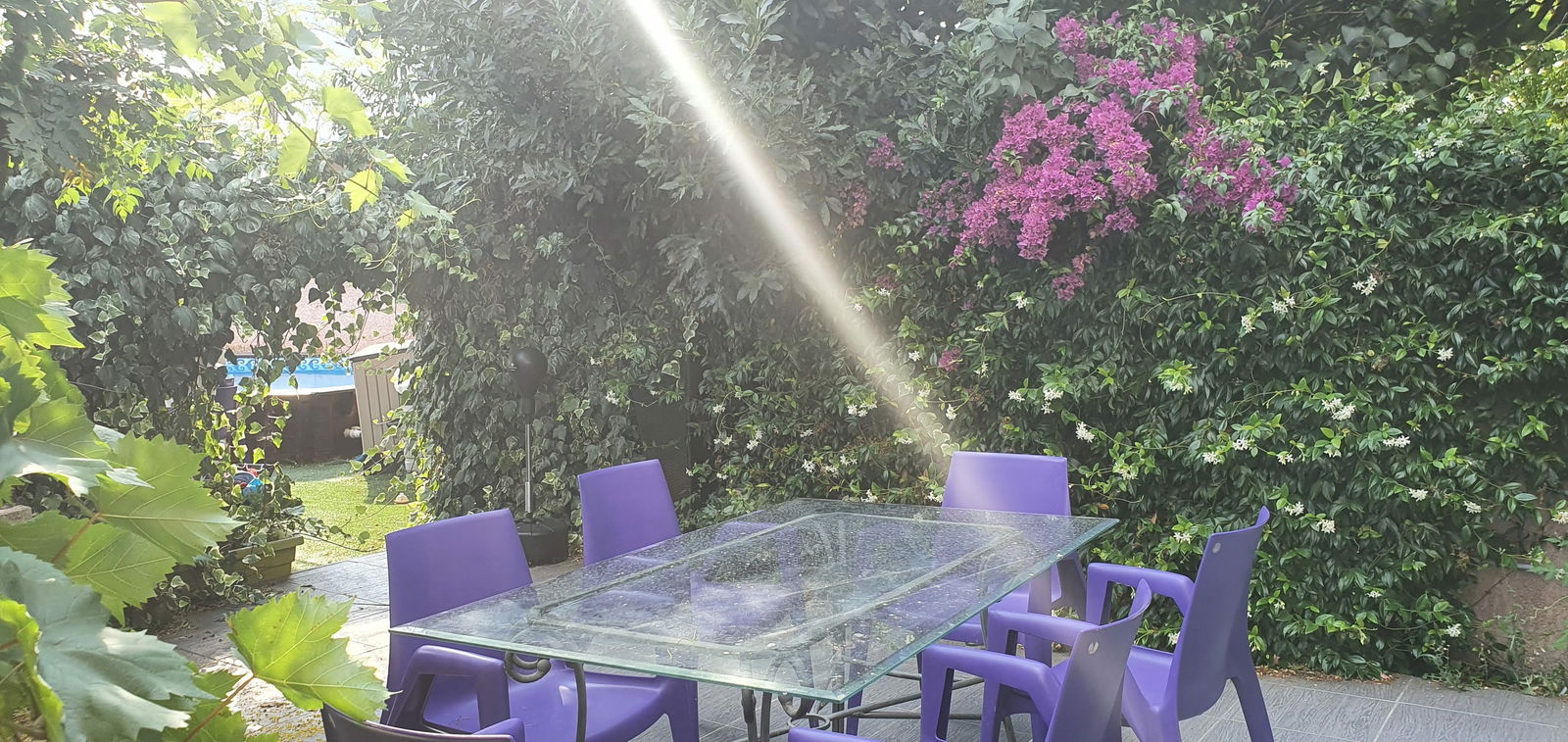 Homestay Montpellier 241213