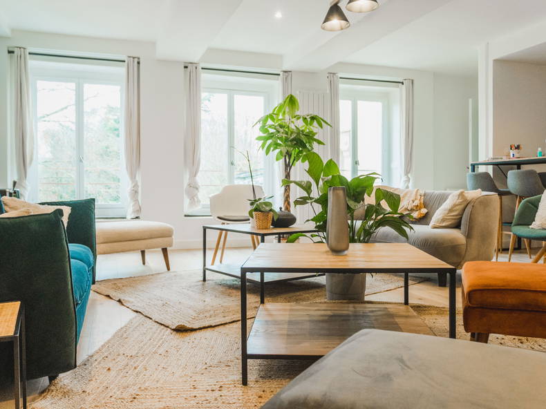 Colocation Tourcoing 244849-4