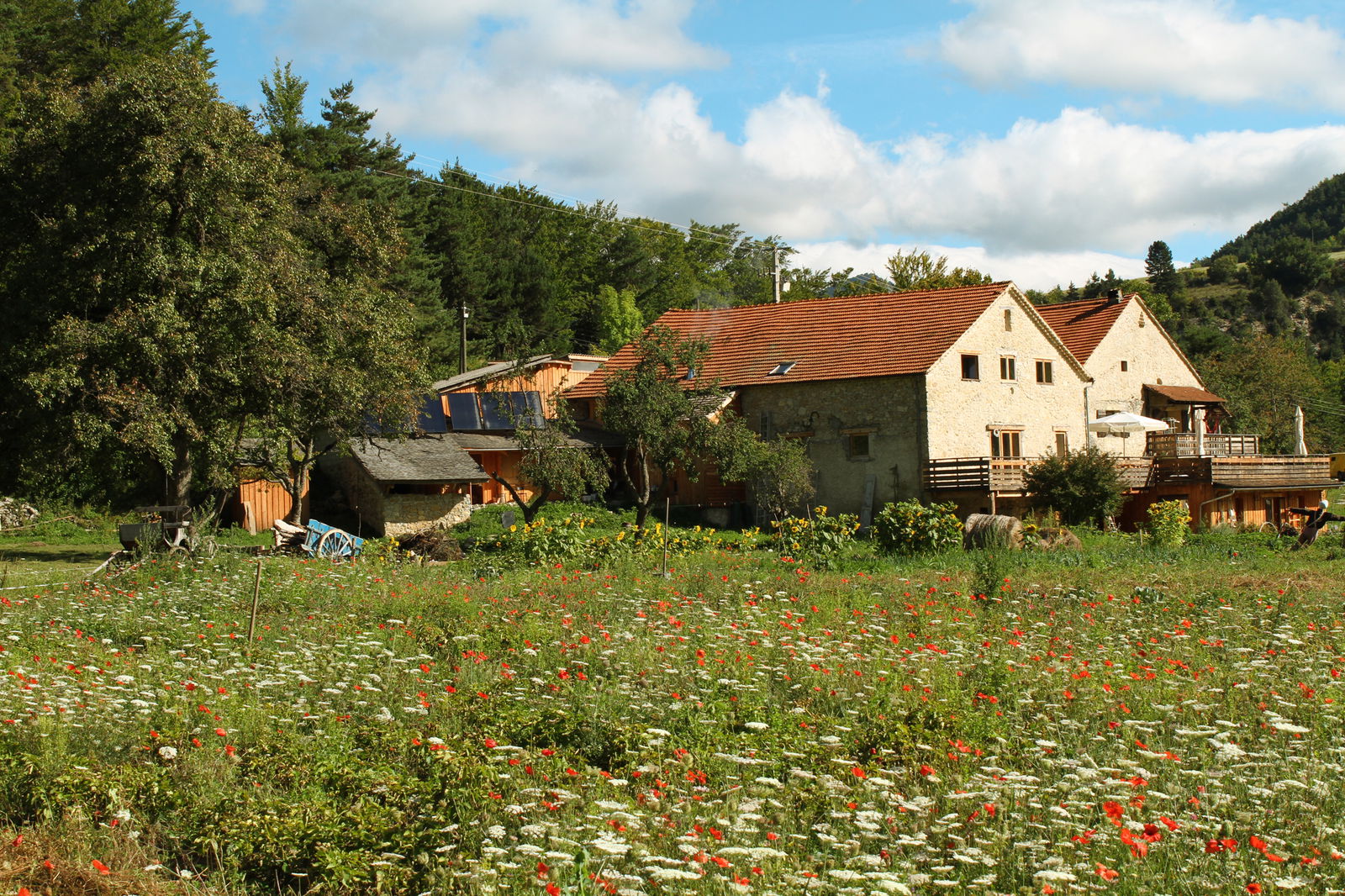 Homestay Boulc 174138