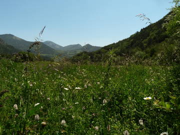 Gastfamilie Boulc 174138-8