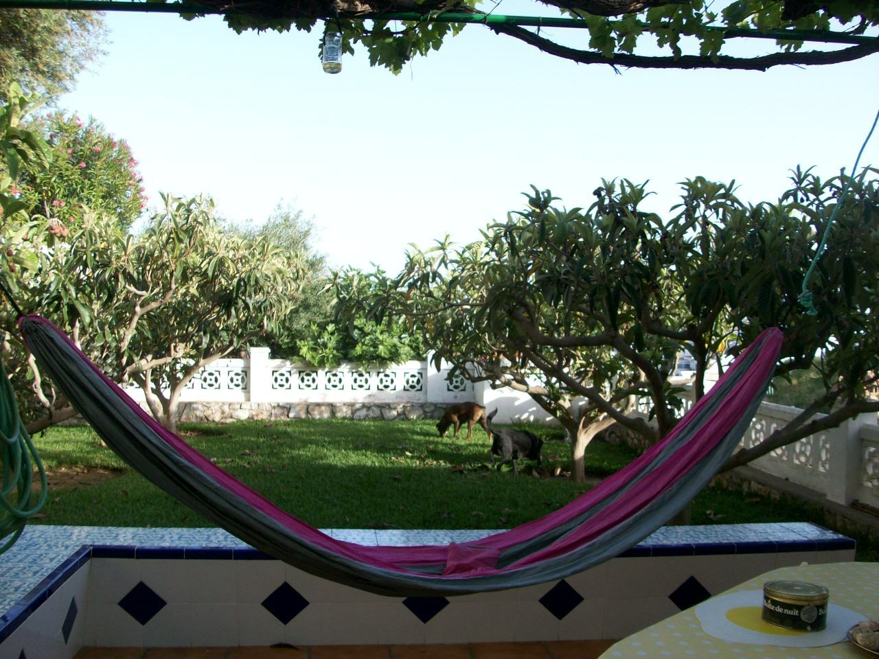 Bed And Breakfast Almuñécar 60949