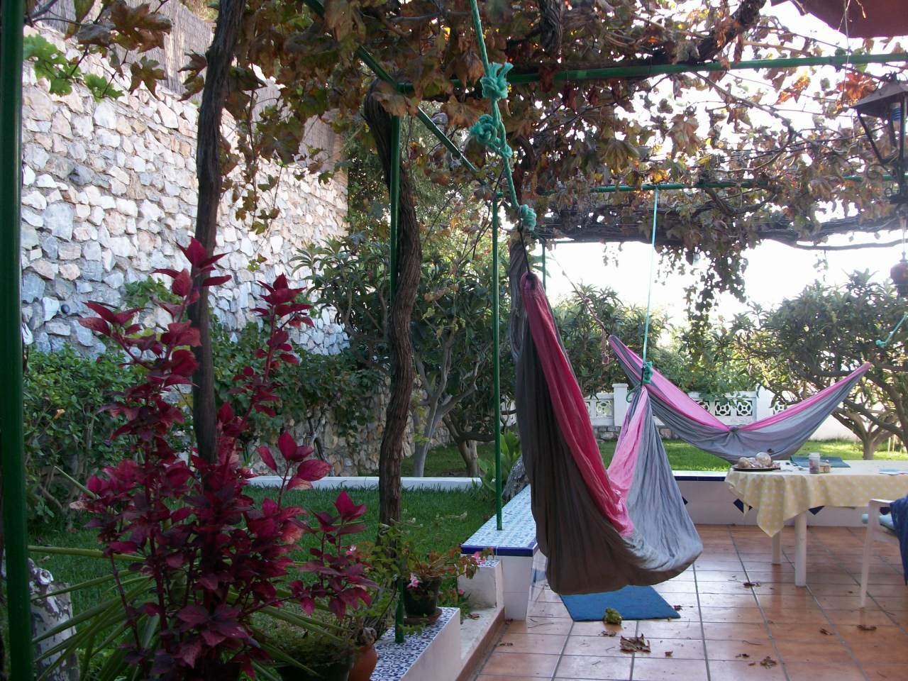 Bed And Breakfast Almuñécar 60949
