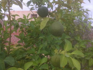 Chambre D'hôte Tataouine 131362-8