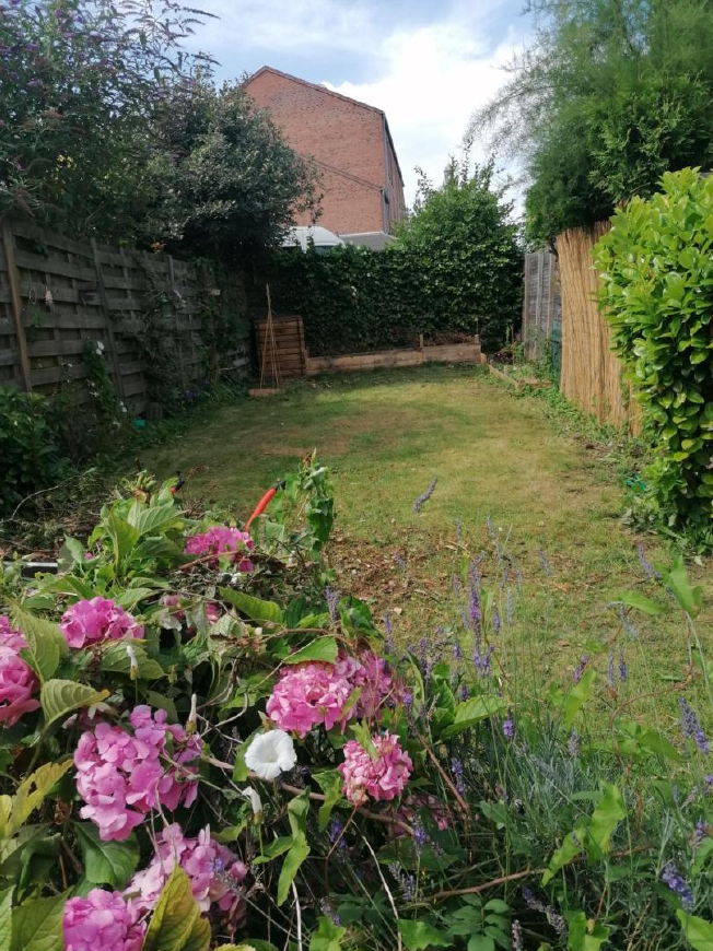 Homestay Liévin 268141