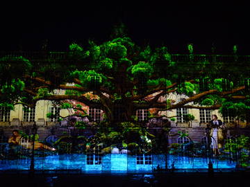 Chambre Chez L'habitant Nancy 217802-9